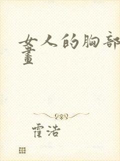 女人的胸部怎么画