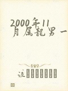 2000年11月属龙男一生命运