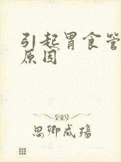 引起胃食管反流原因