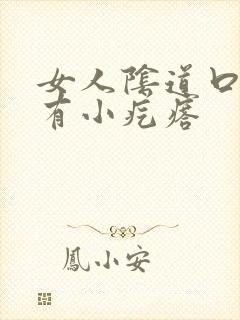 女人阴道口周围有小疙瘩封面