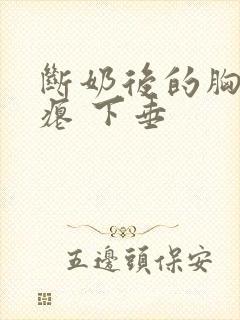 断奶后的胸 干瘪 下垂