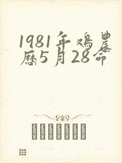 1981年鸡农历5月28命