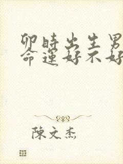 卯时出生男孩的命运好不好