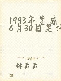 1993年农历6月30日是什么命