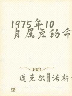 1975年10月属兔的命运