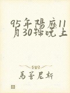 95年阳历11月30号晚上亥时生的女命