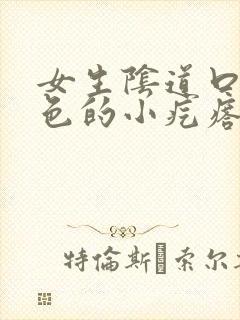 女生阴道口有白色的小疙瘩封面