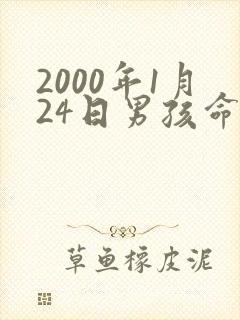 2000年1月24日男孩命运