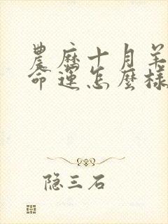 农历十月羊女的命运怎么样封面