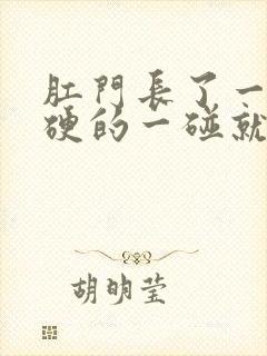 肛门长了一个硬硬的一碰就痛