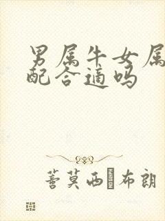 男属牛女属龙婚配合适吗