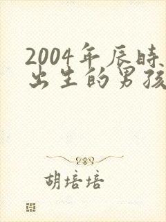 2004年辰时出生的男孩命运