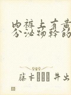 内裤上有黄黄的分泌物干的是怎么回事