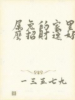 属兔的家里放什么招财运好