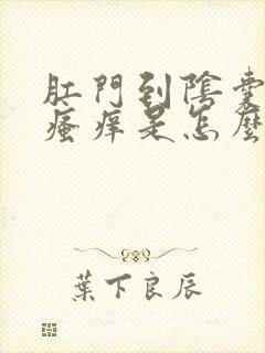 肛门到阴囊之间瘙痒是怎么回事