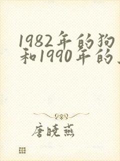 1982年的狗和1990年的马婚配