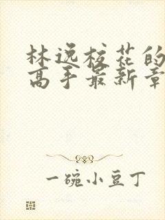 林逸校花的贴身高手最新章节免费阅读封面