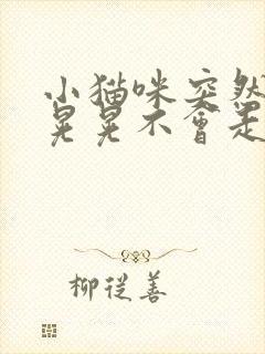 小猫咪突然摇摇晃晃不会走路