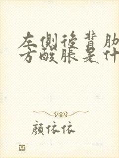 左侧后背肋骨下方酸胀是什么原因