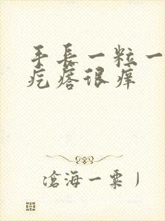 手长一粒一粒的疙瘩很痒