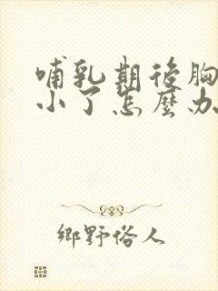 哺乳期后胸部变小了怎么办