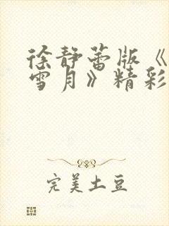 徐静蕾版《风花雪月》精彩片段