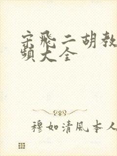 宋飞二胡教程视频大全