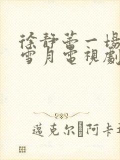 徐静蕾一场风花雪月电视剧