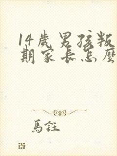 14岁男孩叛逆期家长怎么办