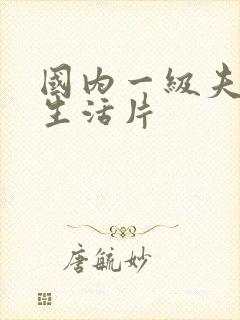 国内一级夫妻性生活片