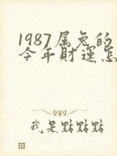 1987属兔的今年财运怎么样