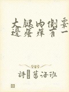 大腿内侧睾丸旁边瘙痒有一个红疙瘩