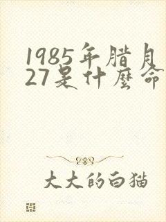 1985年腊月27是什么命封面