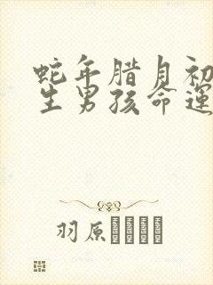 蛇年腊月初四出生男孩命运封面