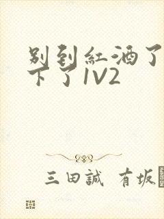 别到红酒了装不下了1V2