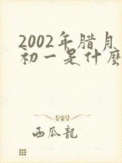 2002年腊月初一是什么命