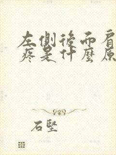 左侧后面肩胛骨疼是什么原因呢封面