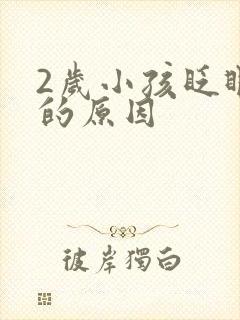 2岁小孩眨眼睛的原因