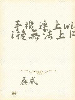 手机连上wifi后无法上网