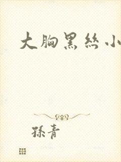 大胸黑丝小姐姐