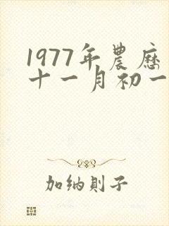 1977年农历十一月初一什么命