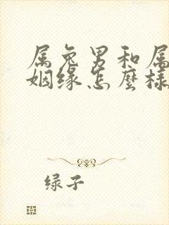 属兔男和属龙女姻缘怎么样封面