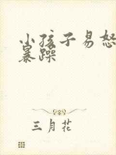 小孩子易怒脾气暴躁