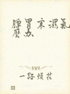 脾胃寒湿气重怎么办