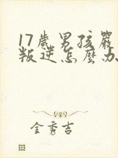 17岁男孩严重叛逆怎么办