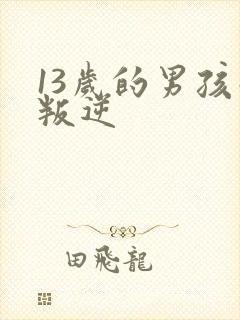 13岁的男孩子叛逆