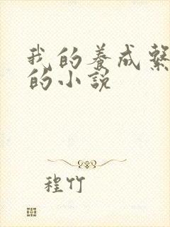 我的养成系女友的小说封面