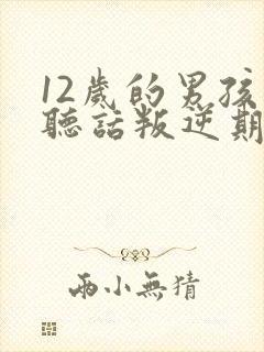 12岁的男孩不听话叛逆期怎么管理