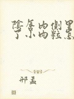 阴唇内侧里面长了小肉粒怎么治疗