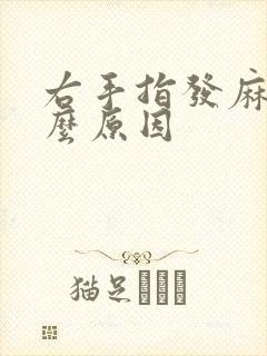 右手指发麻是什么原因